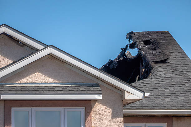 Top rated local Firefighting Water Removal specialists in Glyndon, MN